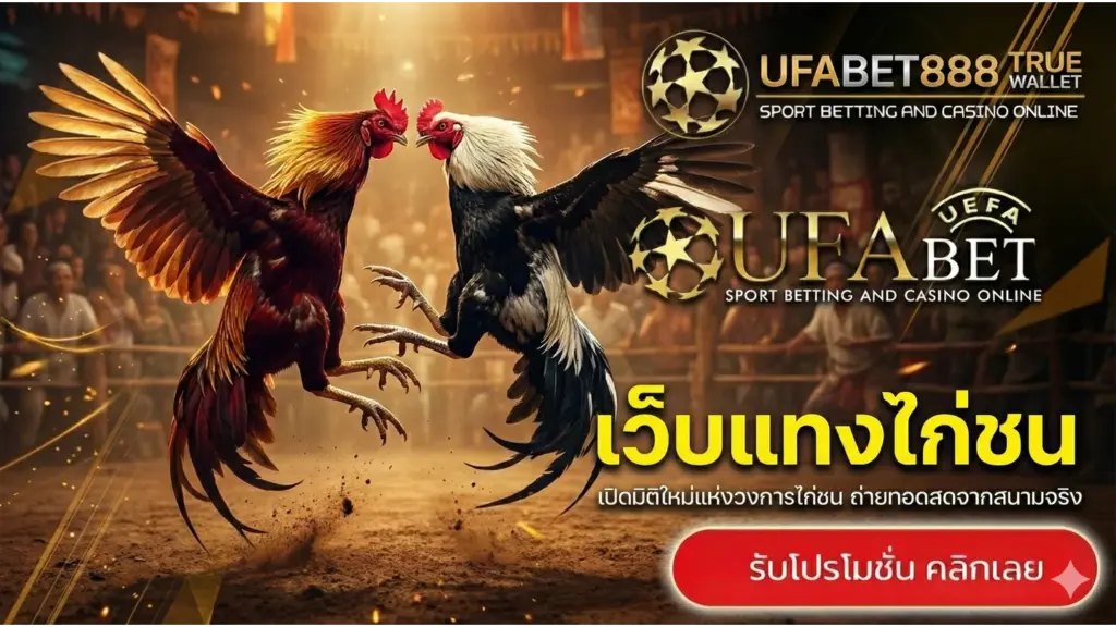 เว็บแทงไก่ชน